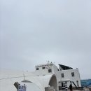 우도 ,, 우비 쓰고 전기 스쿠터 타면서 시원하게 달려주는 우도 여행 후기 ! (전기스쿠터 예약 &#39;코코...