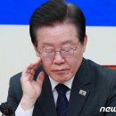 김남국 "이재명, 경기지사 때 주2회 재판받고도 평가 1위…당무공백 없다" 이미지