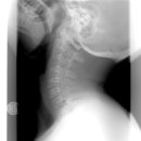 365용호한의원 이미지