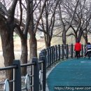 오산천 산책로 이미지