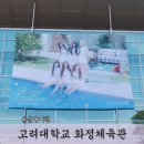 중앙체육관 | 엔믹스 팬미팅 화정체육관 믹스틱 응원봉 관람 후기