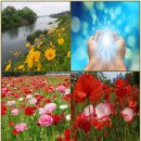 정어린 철학시: 6월에 부르는 노래,老子의 속삭임,징기스칸,붉은 장미의 수치,비에게서 배운 사랑,세계 문화 기행,친구야 하이파이브(임 이미지