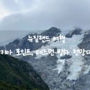 뉴질랜드 여행 후커 밸리 트래킹 대안 코스 추천(키아 포인트, 테즈먼 빙하 전망대)
