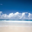 원트레이닝 센터 이미지