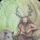 THE 숨 FOREST 이미지