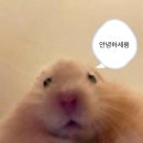 피여리PC | 조금 늦은 델리룩 (2024하반기 ~2025 상반기ver)