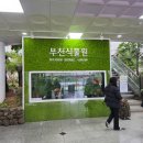 자연공원 | 부천 놀거리, 부천식물원, 부천자연생태공원 후기