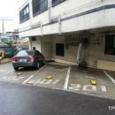 성남방송고등학교 앞 이미지