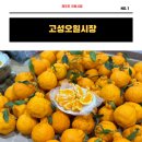 제주도 서귀포시 전통시장 가볼만한곳 고성오일시장