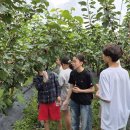 수신초등학교 병설유치원 이미지