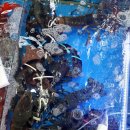 대운회수산 이미지