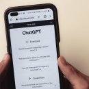 엠티브이13로1L 이미지