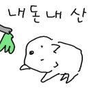 신동-115 이미지