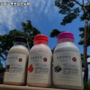 코끼리계량증명업소 | 나상명강릉초당순두부 추천 강릉 초당순두부 맛집 영업시간 리뷰 정보