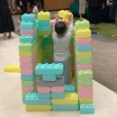 김정후 | 4살 아이와 일산 가볼만한 곳 - 키즈토피아 시즌2