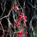 유앤짐 신동탄점 이미지