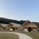 푸른숲맑은물민박 | [대구근교글램핑]자연 속 포레스트뷰, 캠핑 초보도 편하게! "칠곡 왜관 힐포레 글램핑장"