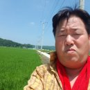 아오리 이미지