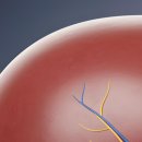 금산우리내과의원 이미지