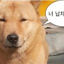 개버랜드 이미지