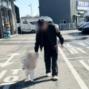 건국카정비 이미지