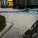 조아피자호마루떡볶이 | 2025_서른의 마지막 기록