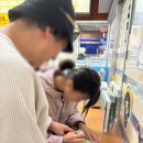 사천시 특별교통수단 | 다테야마 알펜루트 코스 완벽 가이드 | 6가지 교통수단 총정리