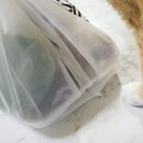 48시간숙성족발