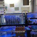 동암1호 | 동암역 싱싱한 횟집 추천 [고조선 동암1호점] | 물회