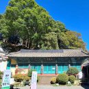 마하사 현왕도 이미지