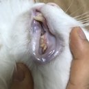 안정택동물병원 이미지