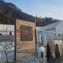 온수수영장 커플 가족 단체 복층스파 지중해풀빌라펜션 | 완주풀빌라펜션 애견동반펜션 자쿠지가 있는 펜션 마당있는 곳이라 강아지도 뛰어놀기좋은 곳 애견동반...