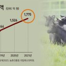 주도흑염소 이미지