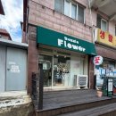 안산대학교입구 | 예쁜 꽃다발, 귀여운 강아지까지 있는 안산 상록수 꽃집 다녀왔어요!