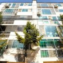 세종로~세종로67번길 이미지