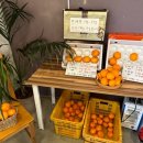 금오름농장 이미지