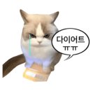 저팔계콧구멍 이미지