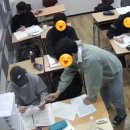 도태라플러스 이미지
