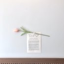 디노브런치 이미지