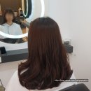 헤어팝 네이버블로그