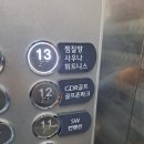 [동묘PT] 하체 운동 맛깔나게 하고 온 스파렉스 피트니스 리얼후기
