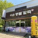 수완지구팥죽맛집 수완콩물팥죽, 팥죽이 찐이야