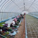 청송농원 이미지