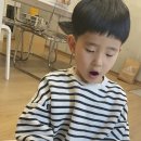 왓아리딩트리