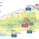 유일장 Daum카페