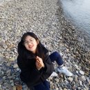 편백나무펜션 이미지