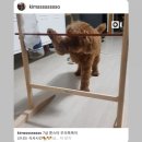 쭌스타