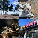 B36 | 태안 바다 캠핑장 ::어은돌오토캠핑장:: 돌풍에서 살아남은 우리🖤 B36 사이트 [애견동반 동계캠]