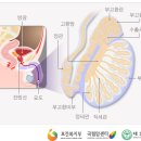 강서비뇨기과의원 이미지