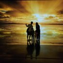 (주)비헤이메이드 | 파주 뮤지엄헤이: 입장료는 비싸지만 후회 없는 미디어아트 체험, 아이와 함께한 솔직 후기